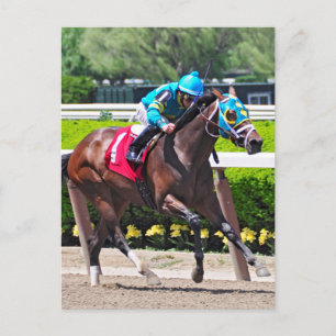 Red Velvet wins the Jersey Girl Stakes Postcard