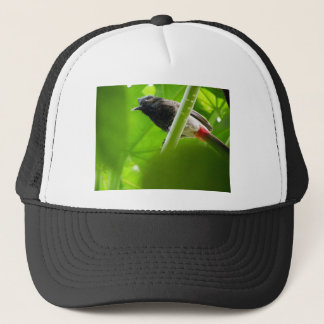 Red-vented Bulbul (Pycnonotus cafer) Trucker Hat