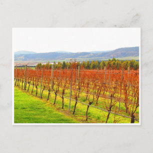 red vines postcard