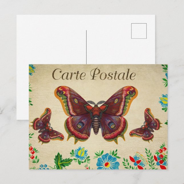 Red Vintage Butterflies Postcard (Front/Back)