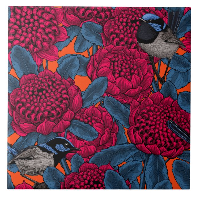 Red waratah and fairy wrens tile (Front)