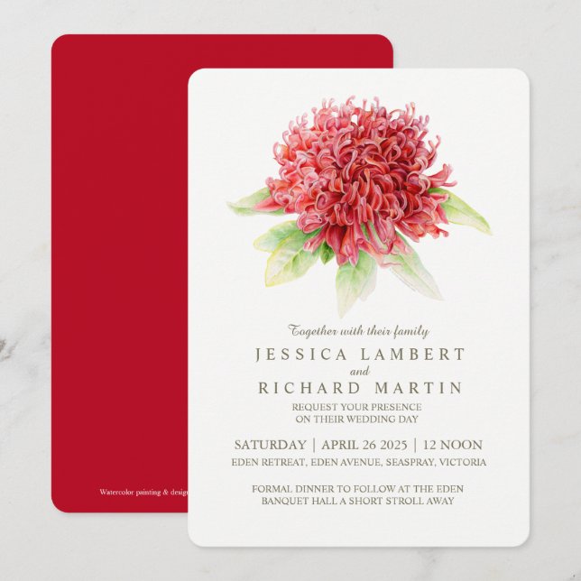 Red waratah flower watercolor wedding invitations (Front/Back)