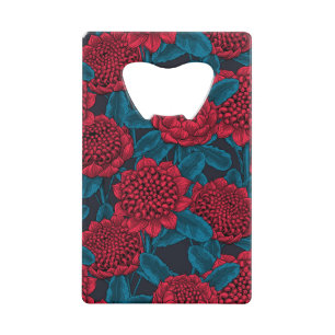 Red waratah flowers