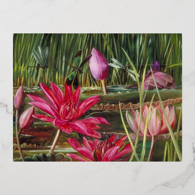 Red Water Lily of India- Marianne North Foil Holiday Postcard (Front)