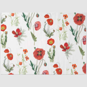 Red Watercolor Poppies Florals Tissue Paper