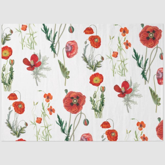 Red Watercolor Poppies Florals Tissue Paper (Front)