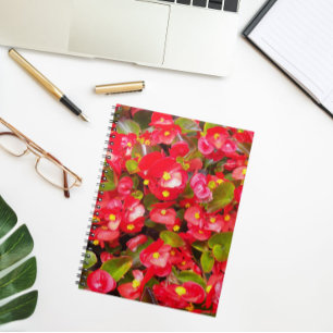 Red Wax Begonias Floral Notebook