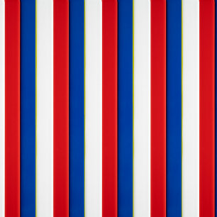 Red White and Blue  Leggings