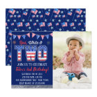 Red White And TWO Boys 4th of July Birthday