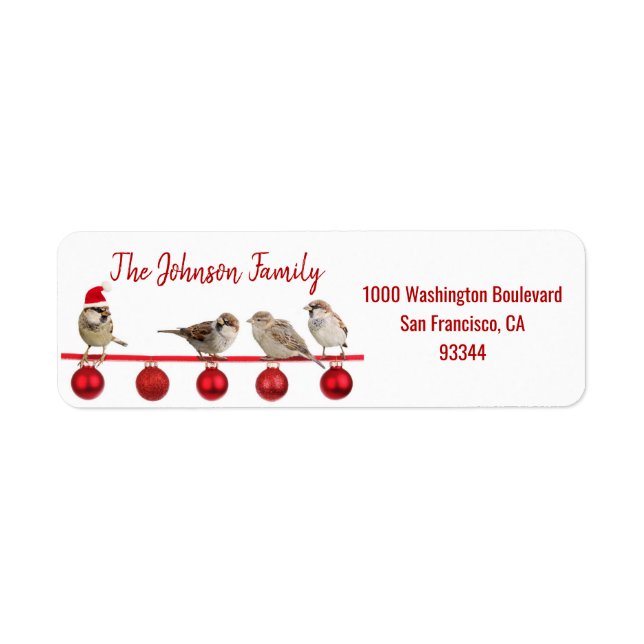 Red White Birds Santa Hat Christmas Return Address (Front)