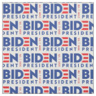 Red White Blue 2020 Joe Biden for President