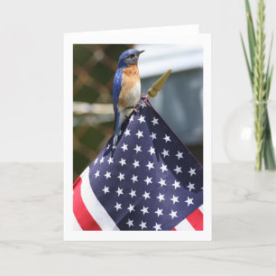 Red,White & Bluebird Card