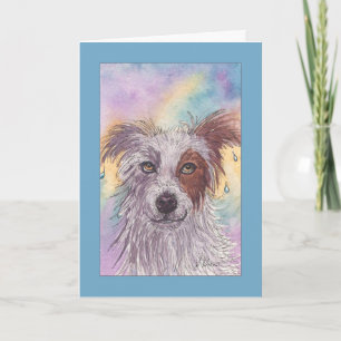 Red & White Border Collie, Dripping Wet, Blank Card