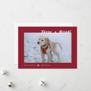 Red White Cute Photo Dog Holiday Christmas Card