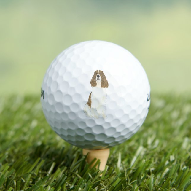 Red & White English Springer Spaniel Golf Balls (Insitu Tee)