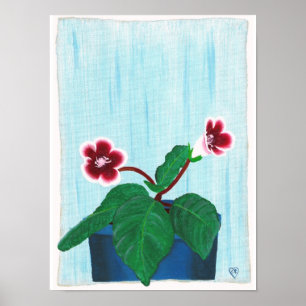 Red White Gloxinia African Violet Flower Poster