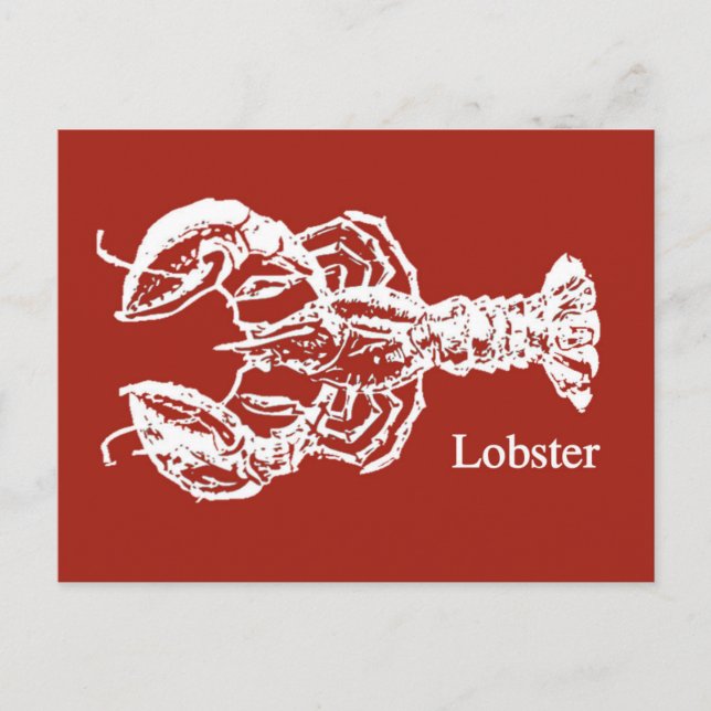 Red & White Lobster Postcard (Front)