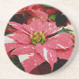 Red & White Poinsettia Coaster