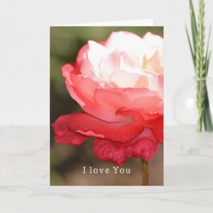 Red White Rose Love (photography by me) Card