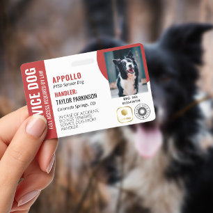 Red White Service Dog 2 Logos & Photo ID Badge