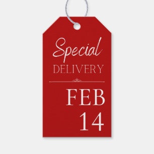 Red & White Special Delivery Feb 14 Gift Tags