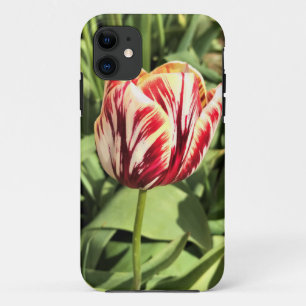 Red & White Tulip Case-Mate iPhone Case