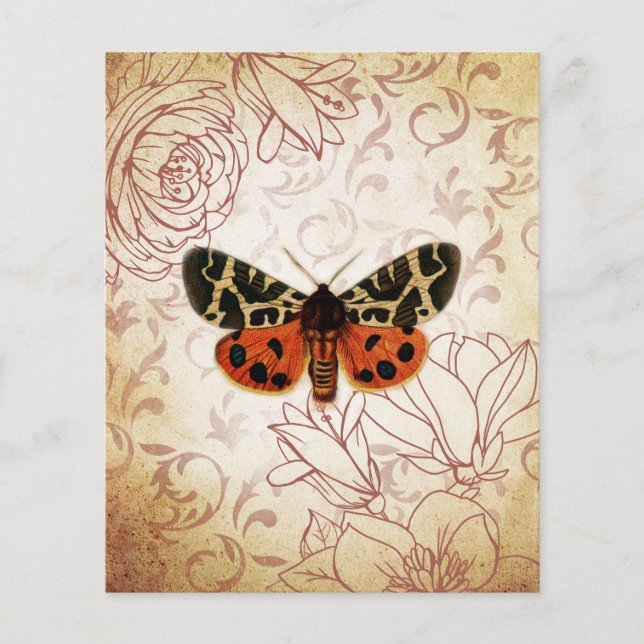 Red & White Vintage Moth Floral Scrapbook Paper (Front)