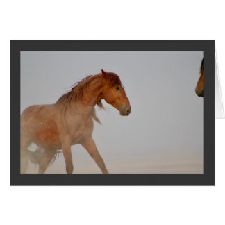 RED WILD HORSE OF UTAH IN WESTERN DESERT