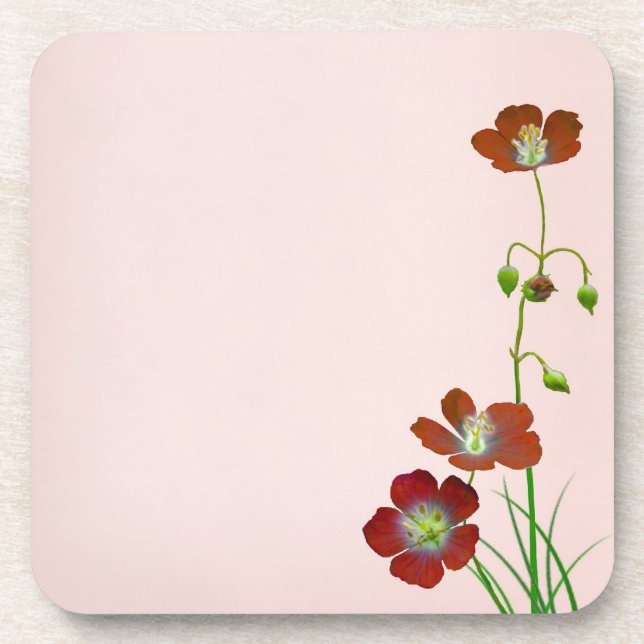 Red Wildflower Coaster (Front)