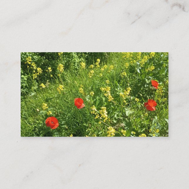 Red Wildflower Meadow Appointment Card (Back)