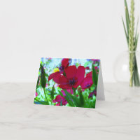 Red Wildflowers Greeting Card