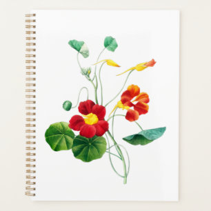 Red Willow II Reverie: Vintage Botanical  Planner