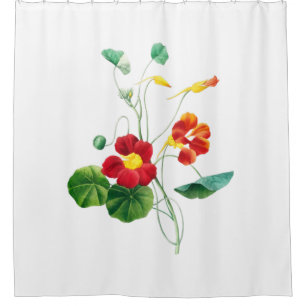 Red Willow II Reverie: Vintage Botanical  Shower Curtain