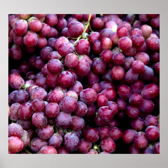 Red Wine Grapes: Luscious Background. Poster (Front)