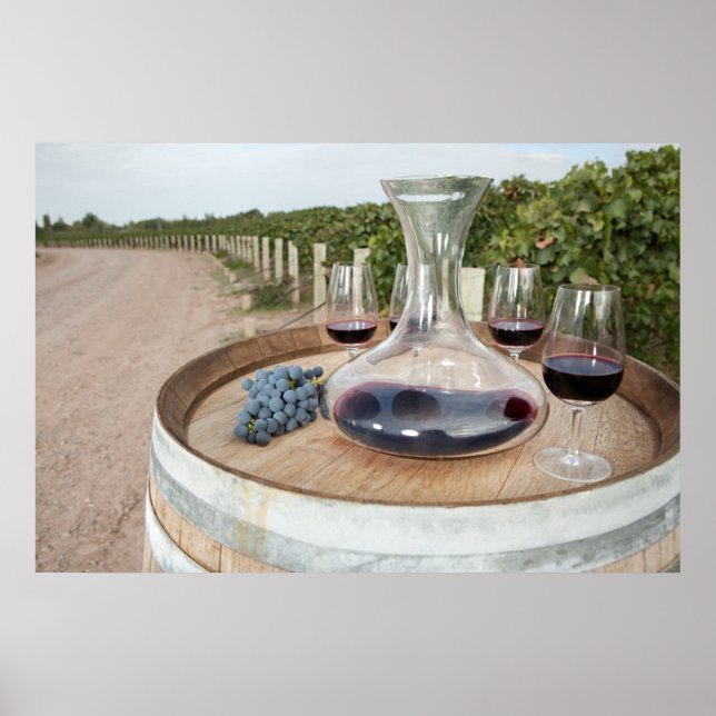 Red Wine In Vineyard Poster (Front)
