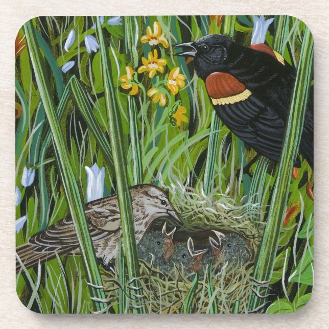 Red Wing Blackbird Coaster (Front)