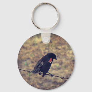Red Wing Blackbird on Barbed Wire Key Ring