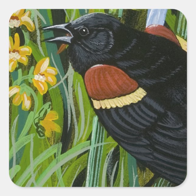 Red Wing Blackbird Square Sticker (Front)
