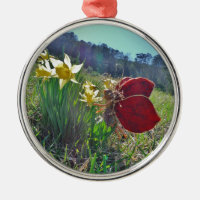 red wing fairy and daffodils