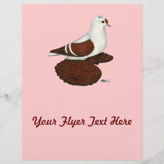 Red Wing Pigeon Flyer