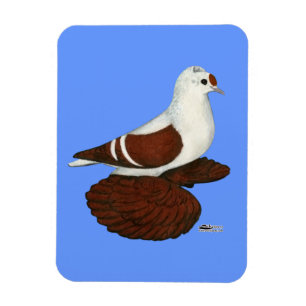 Red Wing Pigeon Magnet
