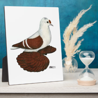 Red Wing Pigeon Plaque