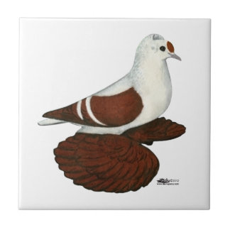 Red Wing Pigeon Tile