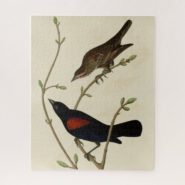 Red-winged Blackbird - Audubon's Birds of America Jigsaw Puzzle (Vertical)