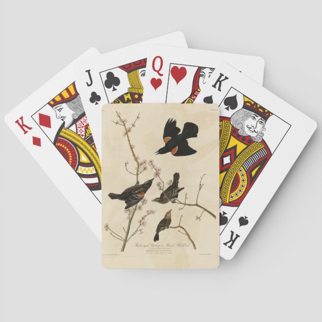 Red winged Blackbird - Audubon's Birds of America Playing Cards (Back)