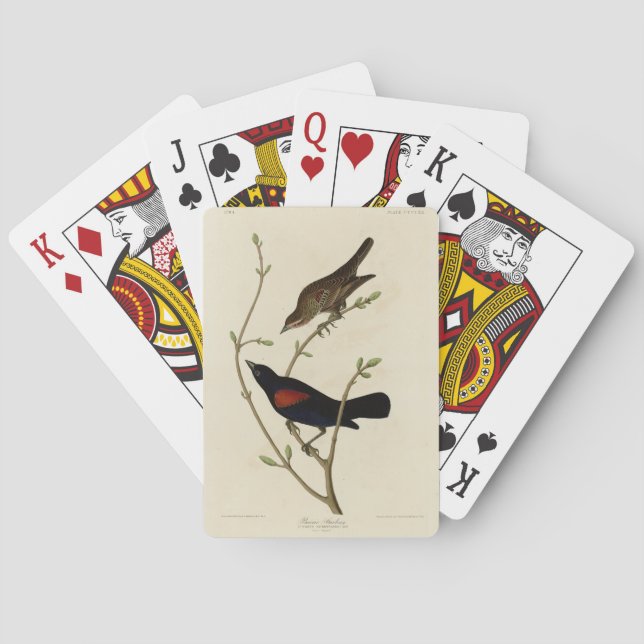 Red-winged Blackbird - Audubon's Birds of America Playing Cards (Back)