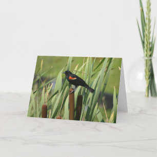 Red-Winged Blackbird Card