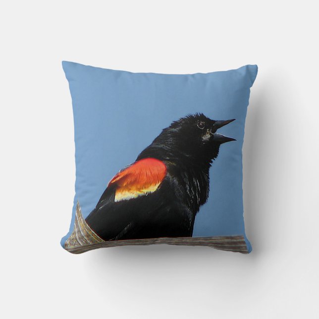 Red winged Blackbird Cushion (Front)