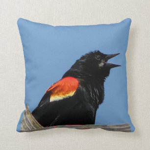 Red winged Blackbird Cushion