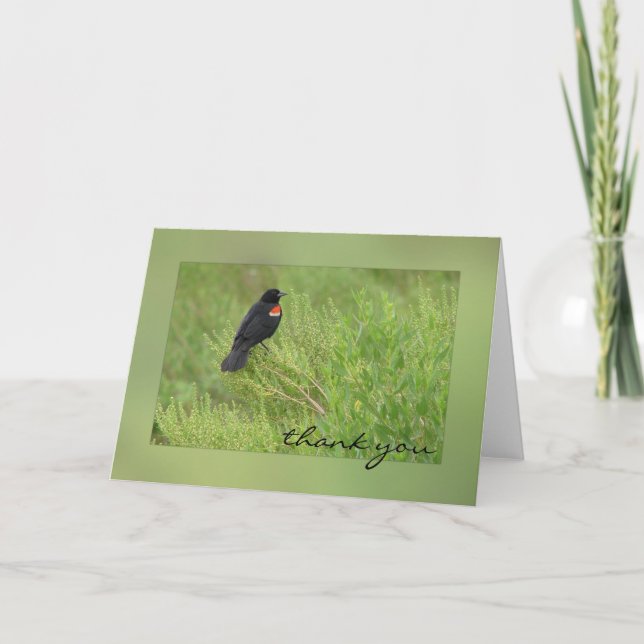 Red Winged Blackbird Greeting Card (Front)